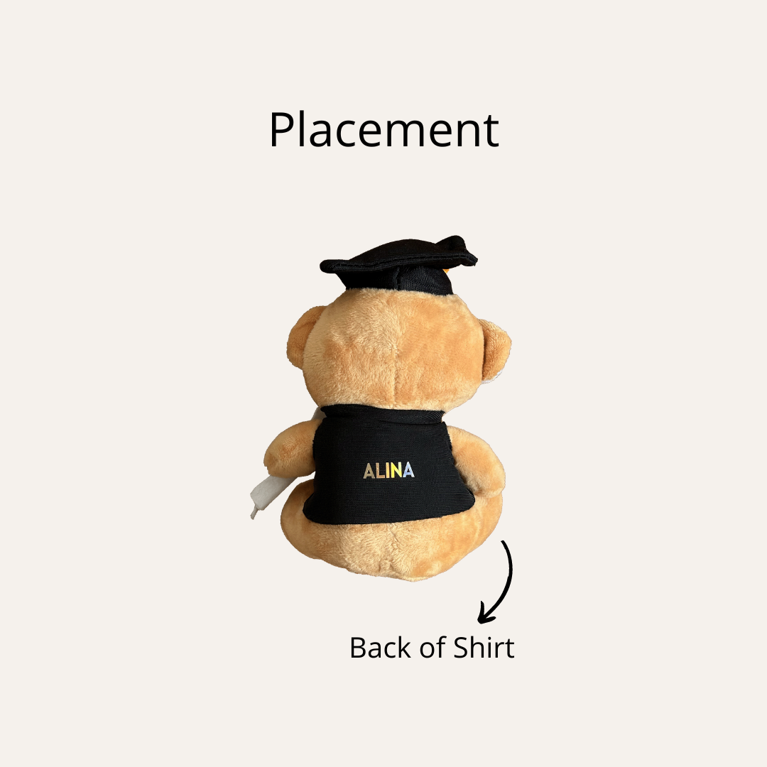 16cm Graduation Bear
